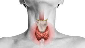 Thyroid surgery